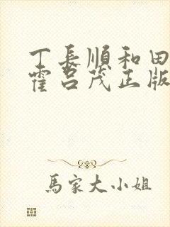 丁长顺和田晓兰霍吕茂正版