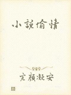 小说偷情