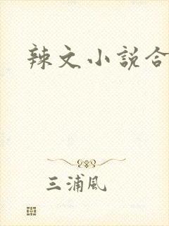 辣文小说合集
