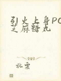 引火上身POP芝麻糖丸