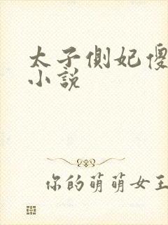 太子侧妃傻乎乎小说