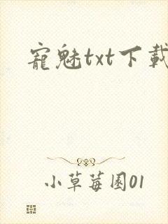 宠魅txt下载