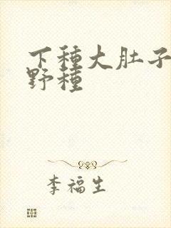 下种大肚子怀孕野种