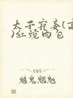 太子宠妾(高肉)红烧肉包