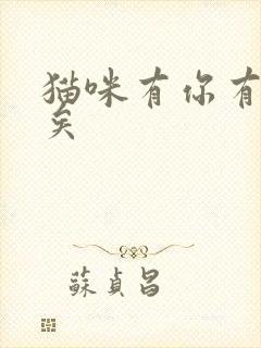 猫咪有你有我足矣