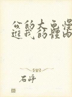 公的大龟慢慢挺进我的体内