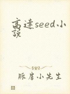 高达seed小说