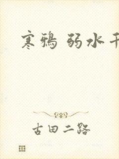 寒鸦 弱水千流
