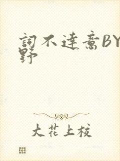词不达意BY咩野