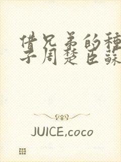 借兄弟的种生孩子周楚臣苏糖