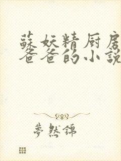 苏妖精厨房爹爹爸爸的小说