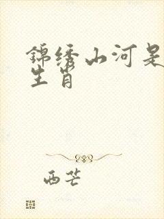 锦绣山河是什么生肖