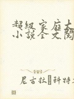 超级家庭大杂烩小说全文阅读