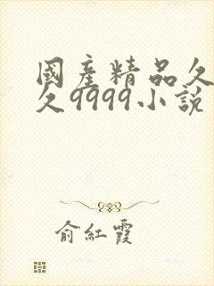 国产精品久久久久9999小说