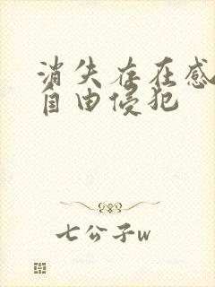 消失存在感消失自由侵犯