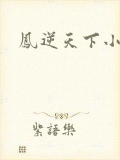 凤逆天下小说
