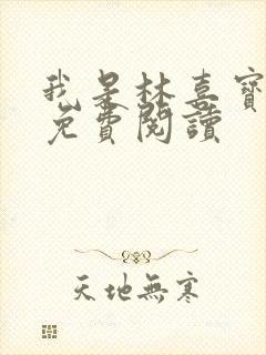 我是林喜宝小说免费阅读