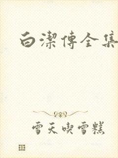 白洁传全集