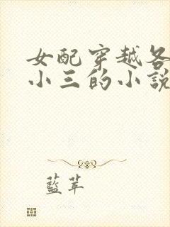 女配穿越各个做小三的小说