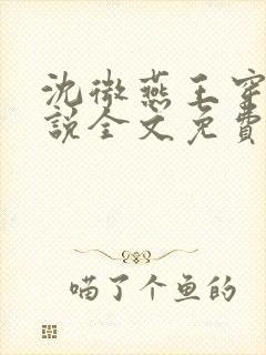 沈微燕王穿越小说全文免费阅读