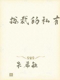 总裁的私有宝贝