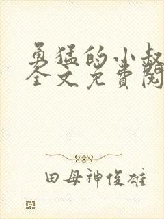 勇猛的小叔小说全文免费阅读