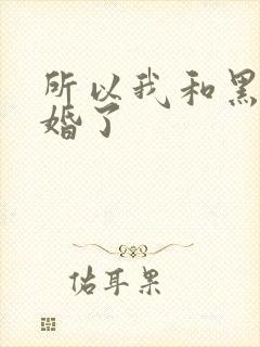所以我和黑粉结婚了