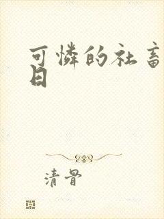 可怜的社畜东度日