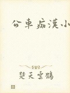 公车痴汉小说