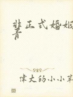 非正式婚姻雾里青