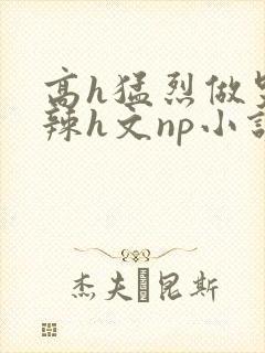 高h猛烈做哭高辣h文np小说