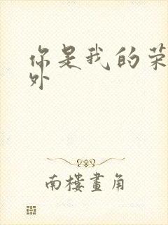 你是我的荣耀番外