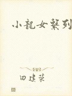 小龙女系列小说