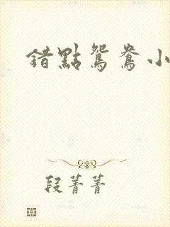 错点鸳鸯小说