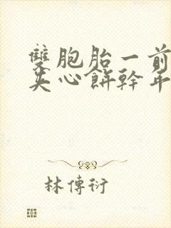 双胞胎一前一后夹心饼干年下