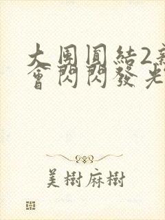 大团圆结2亲情会闪闪发光亲情会2