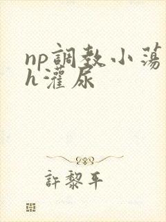 np调教小荡货h灌尿