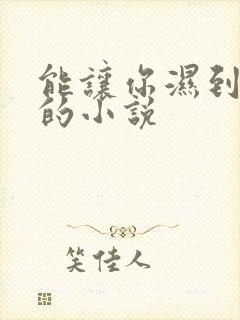 能让你湿到不行的小说