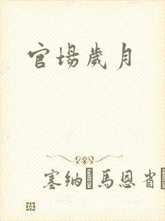官场岁月
