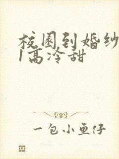 校园到婚纱1V1高冷甜