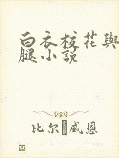 白衣校花与大长腿小说