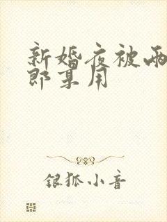 新婚夜被两个伴郎享用