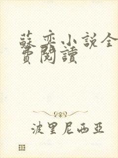 苏奕小说全文免费阅读