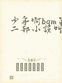 少年啊bgm第二部小说叫什么