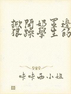 掀开奶罩边躁狠狠躁学生的小文字