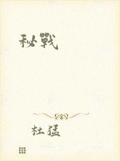 秘战