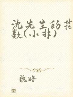 沈先生的花式调数(小非)