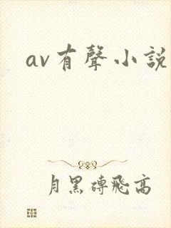 av有声小说