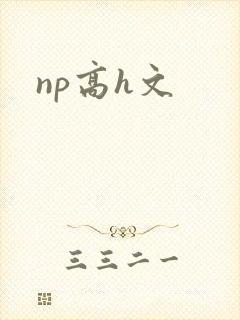 np高h文