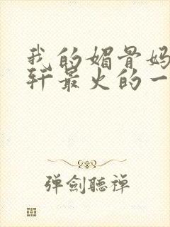 我的媚骨妈妈林轩最火的一句